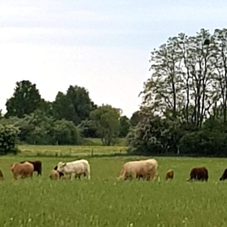 Ferienwohnung Wolf Nietwerder Luaran gambar